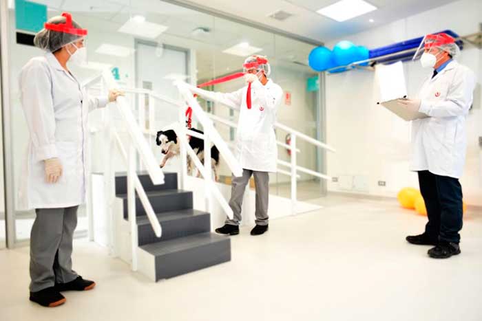 Zona de Rehabilitación física