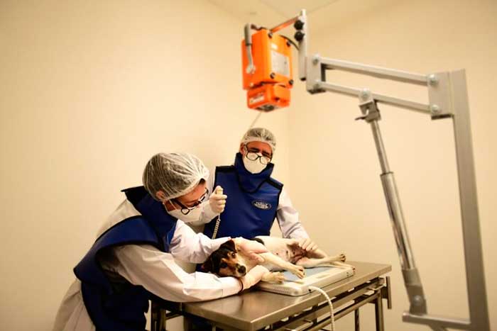 Zona de Radiología