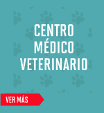 Centro Médico Veterinario